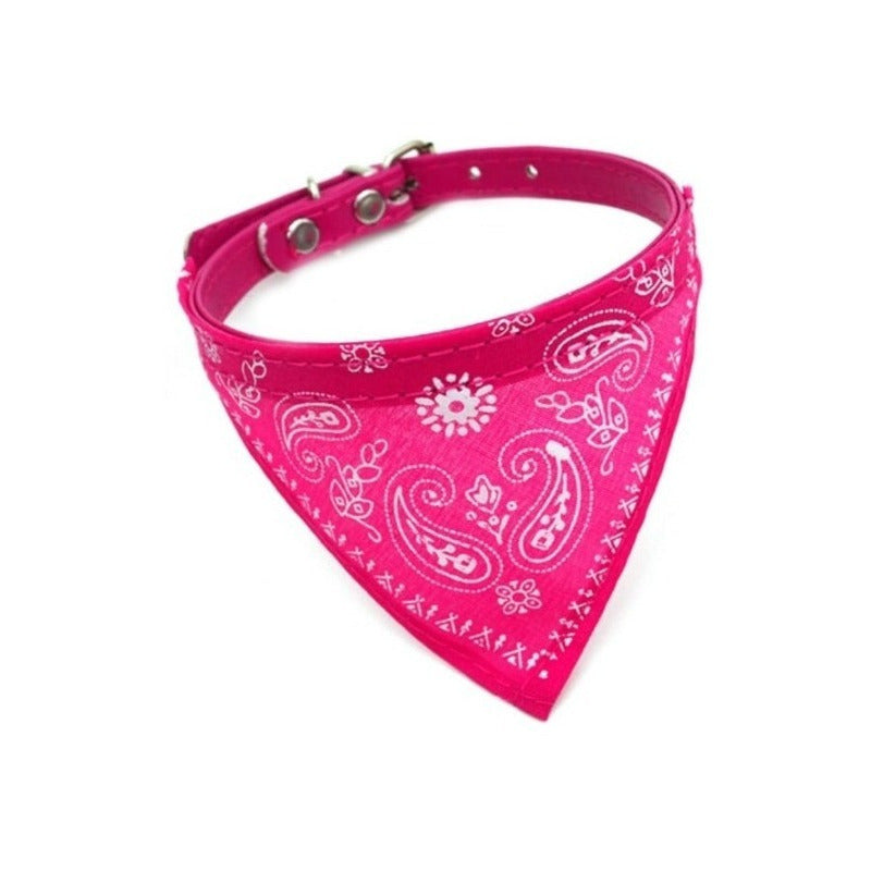 Collar Para Mascotas, Collar Para Perro Con Pañuelo