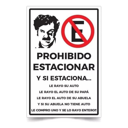 Señaletica Prohibido Estacionar Pablo Esc 45x30cm Metálica